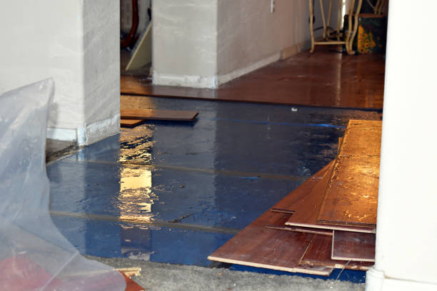 Professional Burst Pipe Water Damage technician working in Freedom, ME